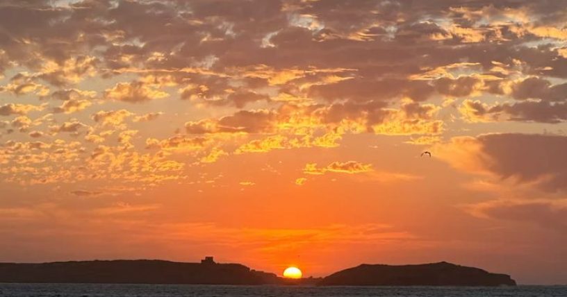 sunseet