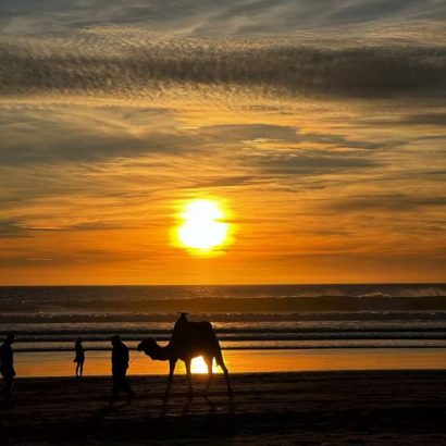 sunset camel